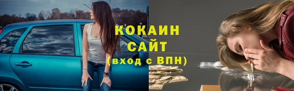 твердый Алексин