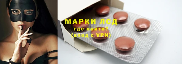 трава Аркадак